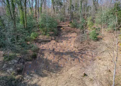 STABILISATION D’UN TALUS PERMANENT EN FORÊT