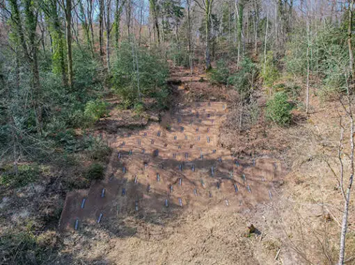 STABILISATION D’UN TALUS PERMANENT EN FORÊT